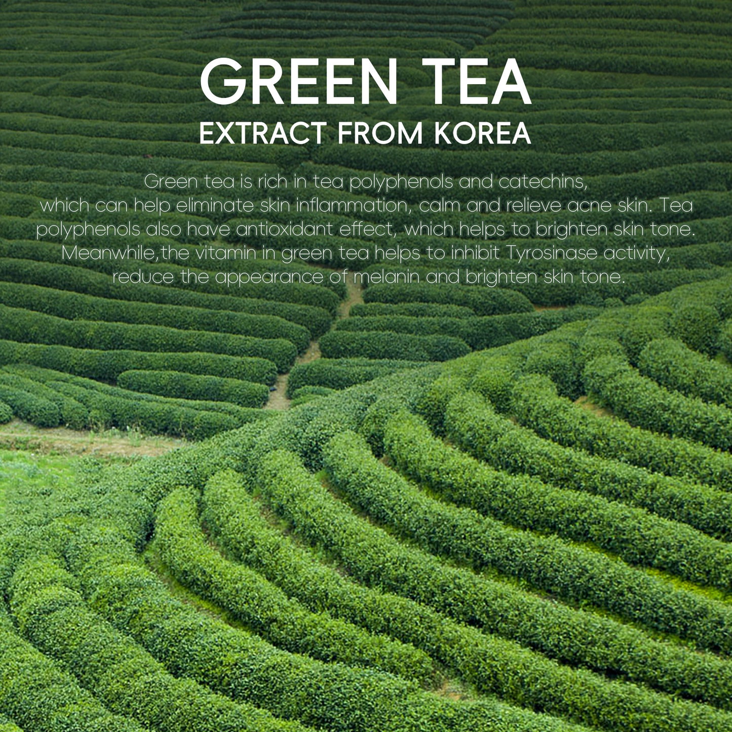 Green Tea Facial Cleanser