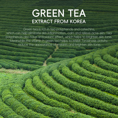 Green Tea Facial Cleanser